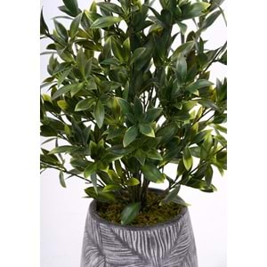 78 CM UV MAGNOLIA
