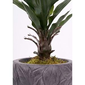 UV 76 CM AGAVE