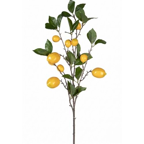 87 CM LİMON DAL