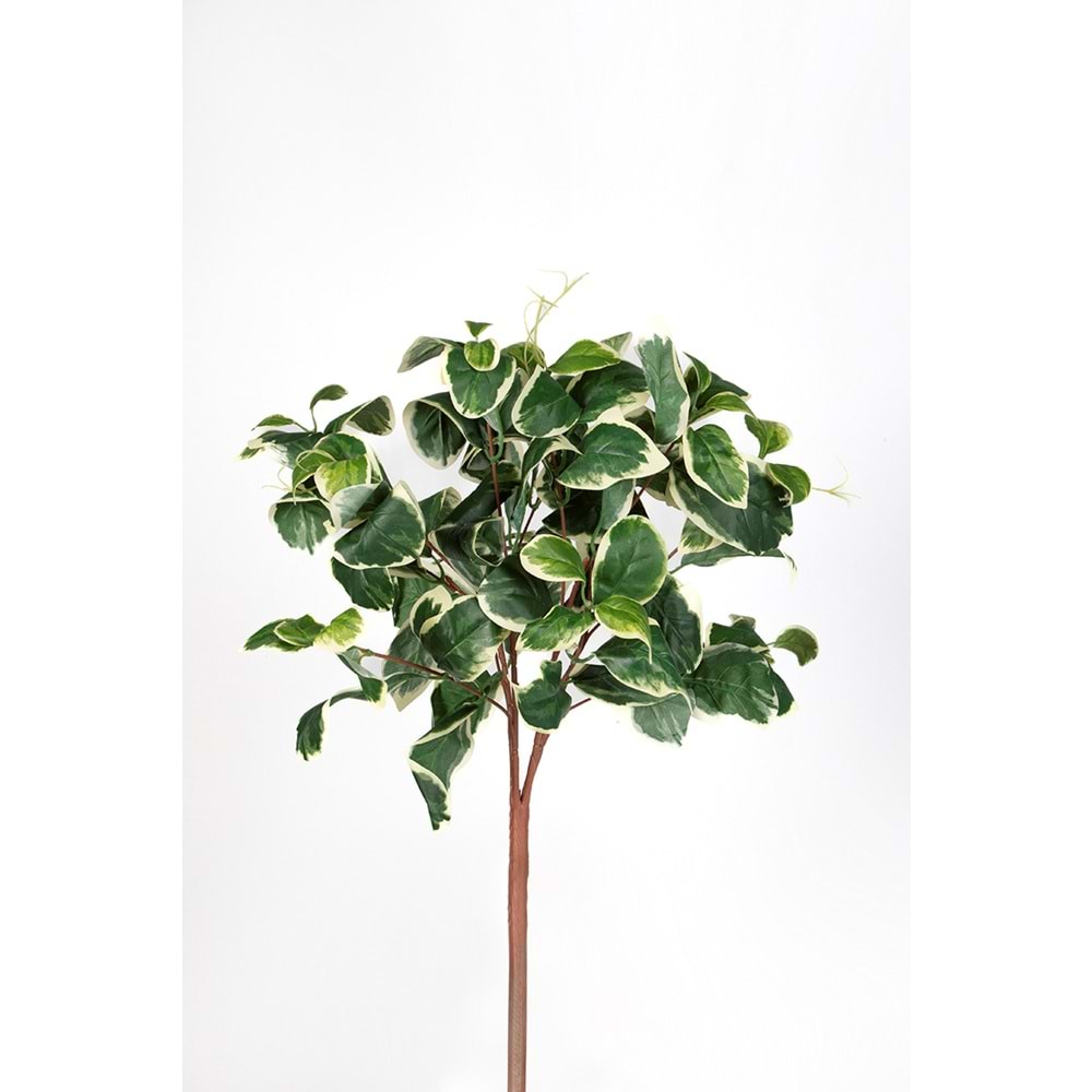45 CM DEMET AUREUM