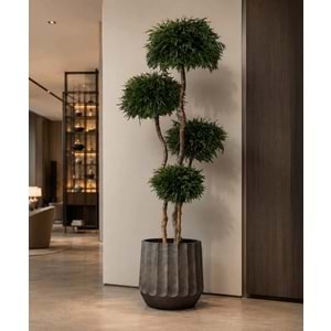 180 CM TOPIARY 4 SPHERES NICOLY