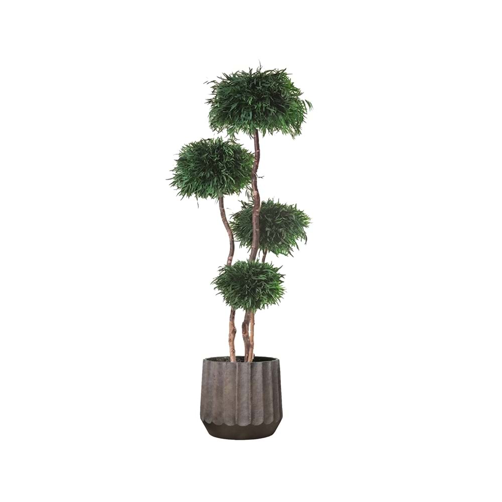 180 CM TOPIARY 4 SPHERES NICOLY
