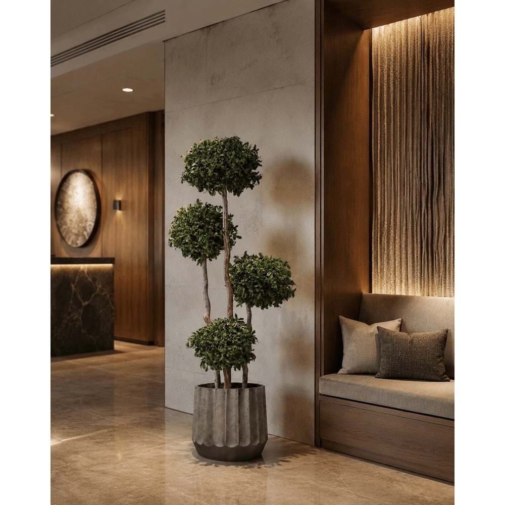 180 CM TOPIARY 4 SPHERES PITOSPORUM