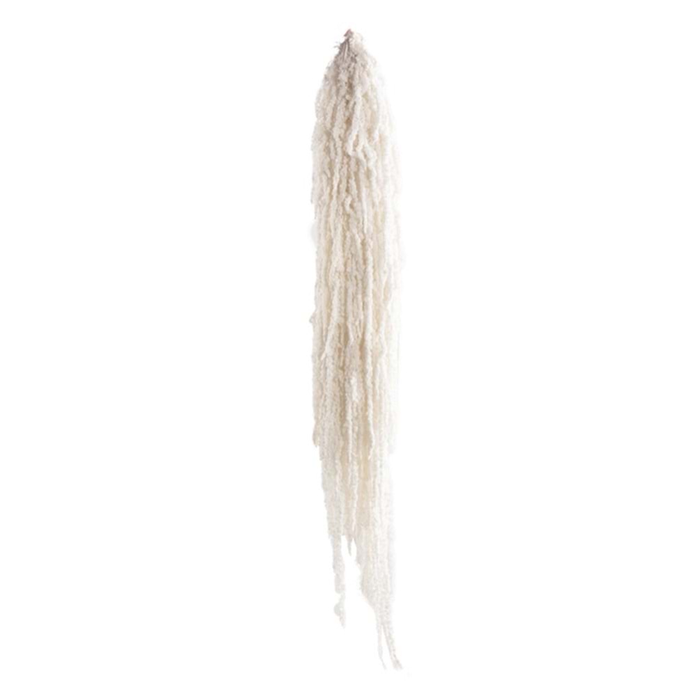 40-70 CM AMARANTHUS WHITE