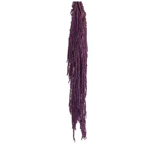 40-70 CM AMARANTHUS PURPLE