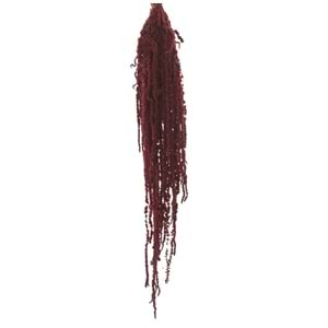 40-70 CM AMARANTHUS BURGUNDY