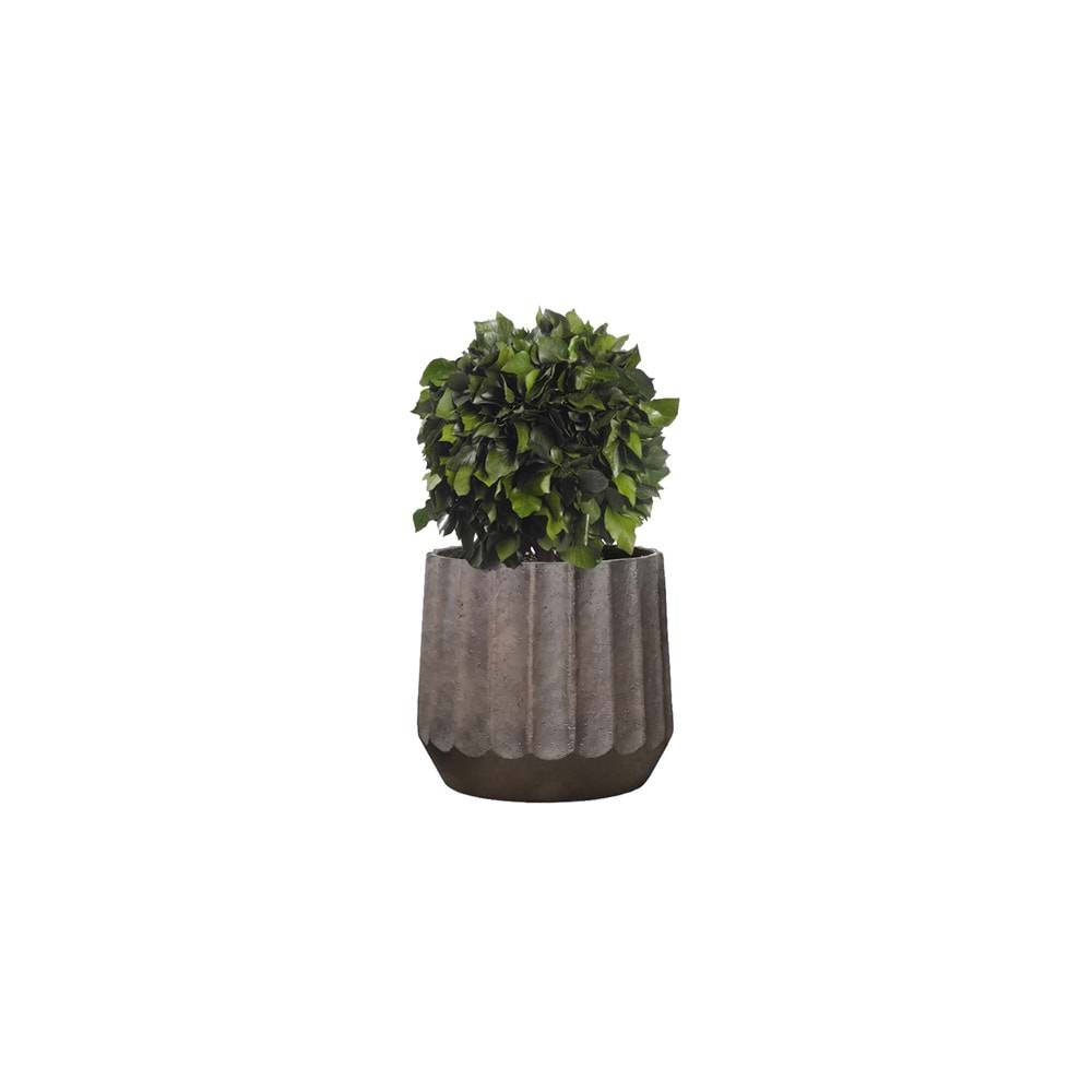 50 CM TOPIARY HEDERA 1 ESFERAS