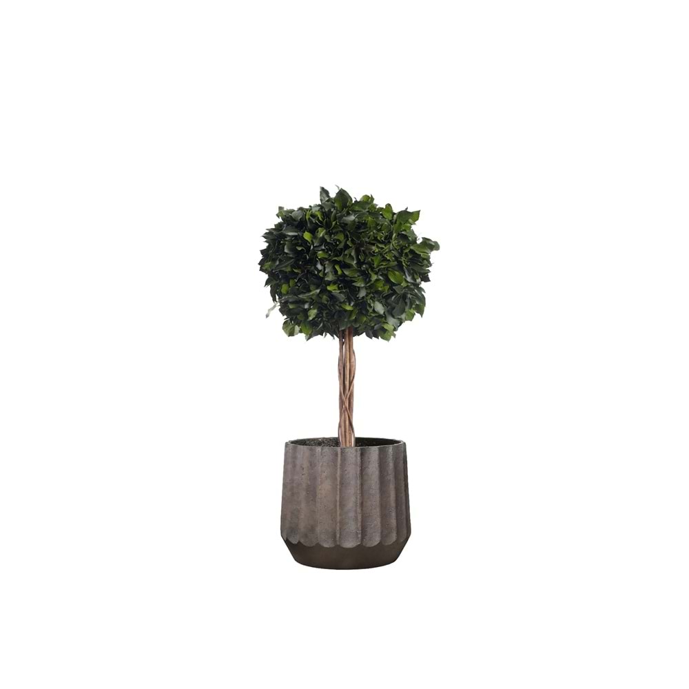 100 CM TOPIARY HEDERA 1 ESFERAS