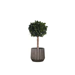 100 CM TOPIARY HEDERA 1 ESFERAS