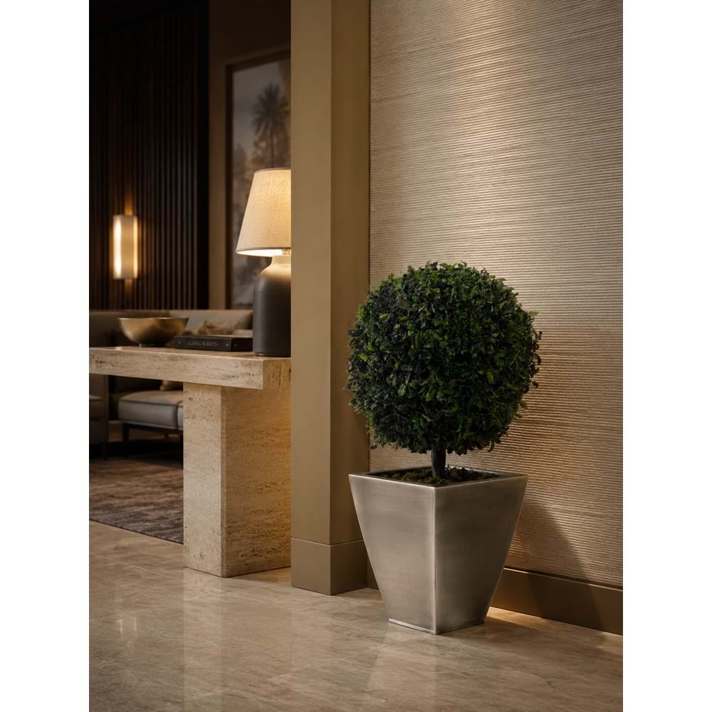 65 CM TOPIARY TENIUFOLIUM