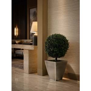 65 CM TOPIARY TENIUFOLIUM