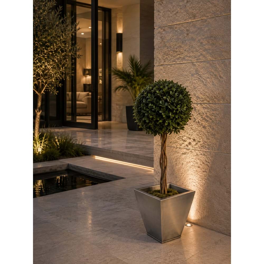 100 CM TOPIARY TENIUFOLIUM