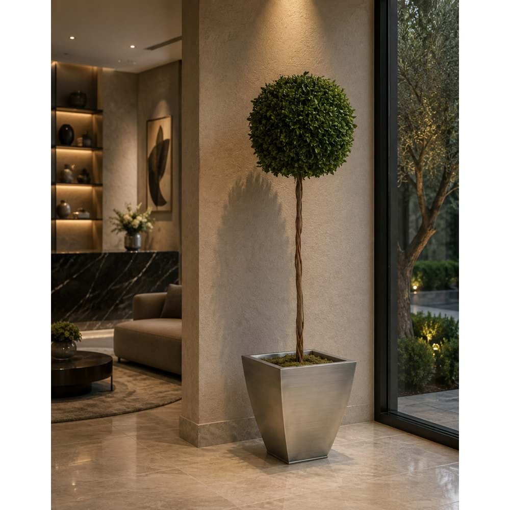 140 CM TOPIARY TENIUFOLIUM