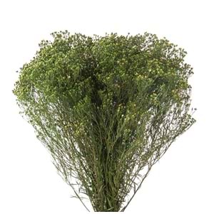 30-60 CM BROOM