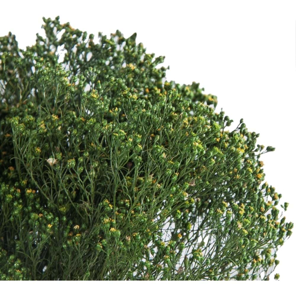 30-60 CM BROOM