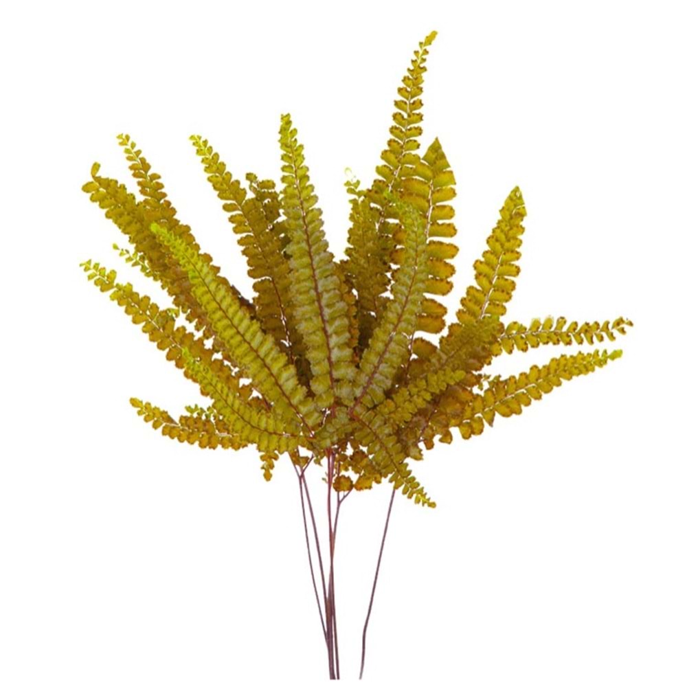 15-25 CM FERN FELCI OLIVE GREEN