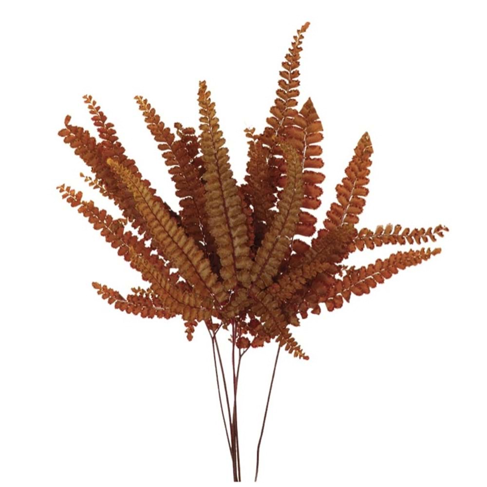 15-25 CM FERN FELCI ORANGE
