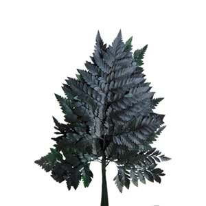 30-35 CM FERN CUERO