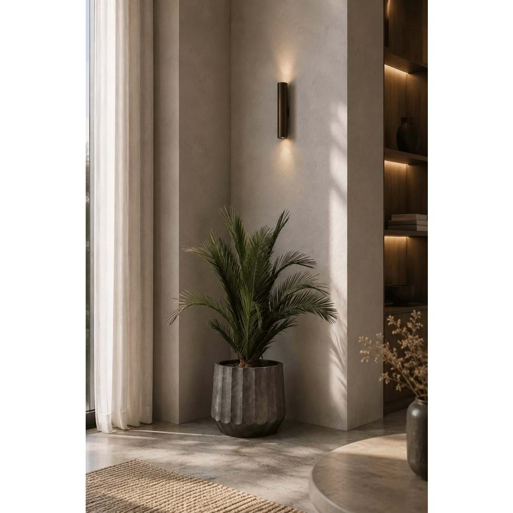100 CM KIT PALMERA PHOENIX