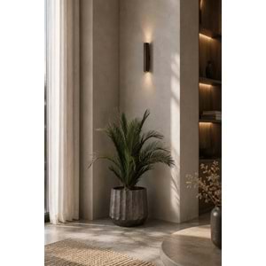 100 CM KIT PALMERA PHOENIX
