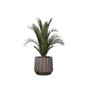 100 CM KIT PALMERA PHOENIX