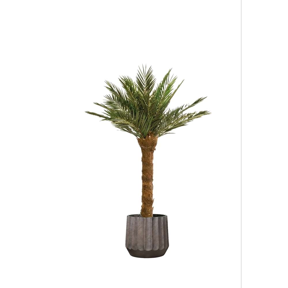180 CM TREE KIT P. PHOENIX