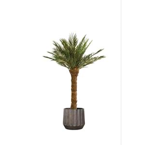 180 CM TREE KIT P. PHOENIX