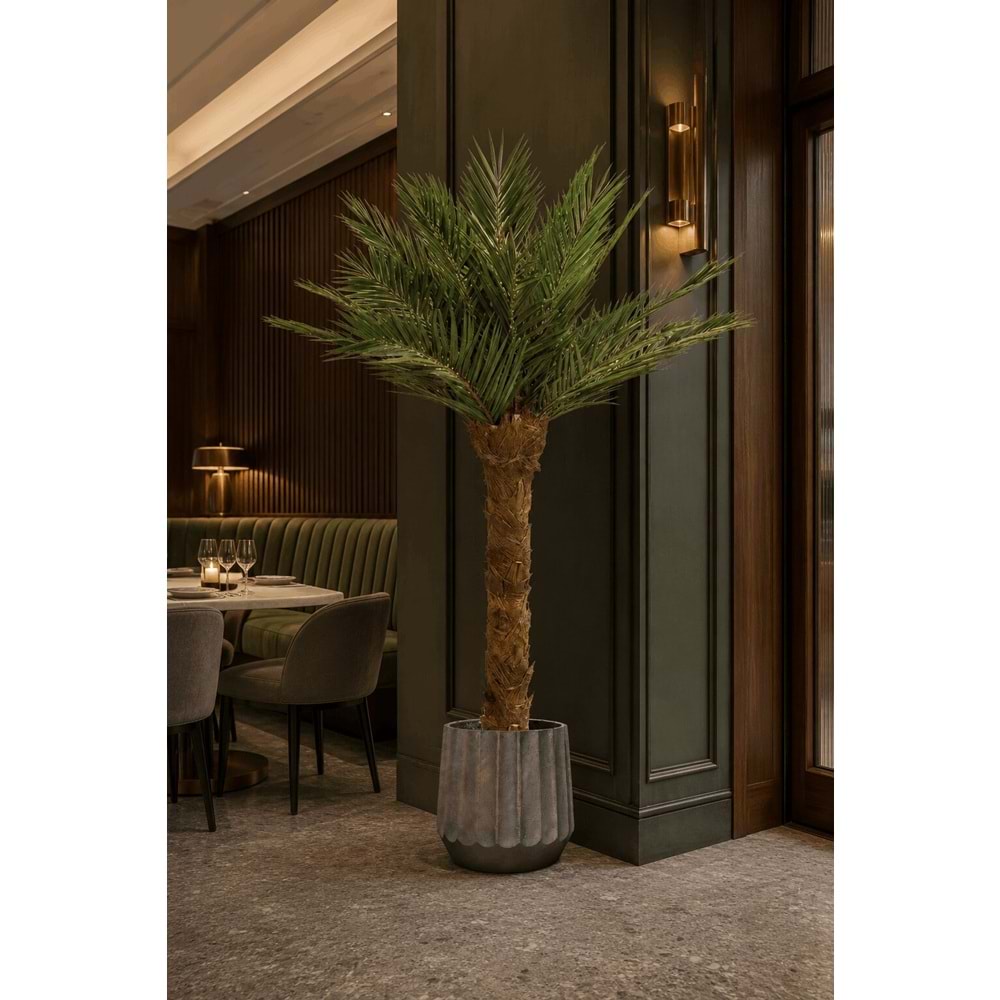 240 CM TREE KIT P. PHOENIX