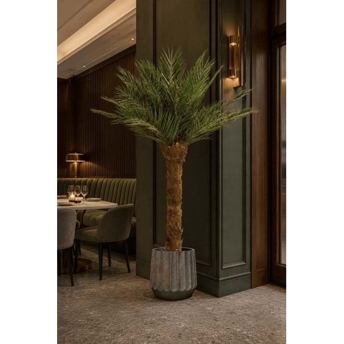 240 CM TREE KIT P. PHOENIX