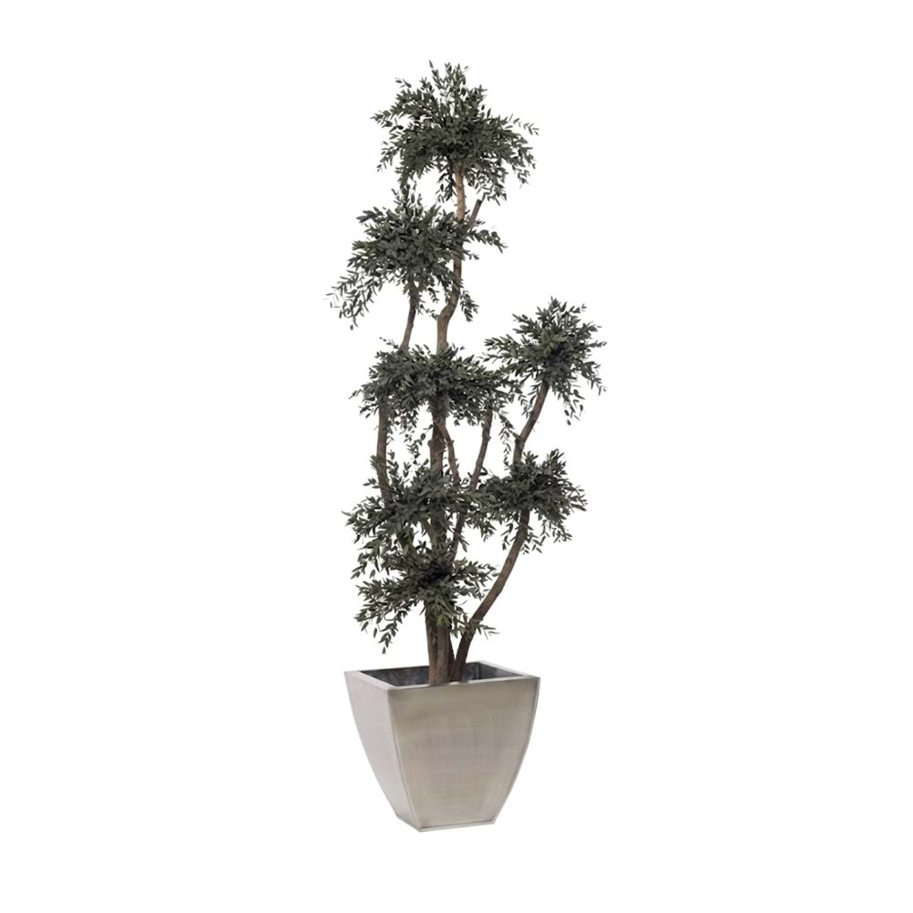 190 CM TOPIARY PARVIFOLIA