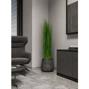 120 CM PLANTS GİNERİUM