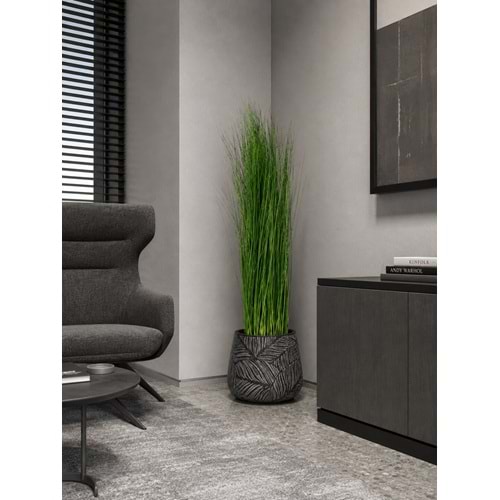 120 CM PLANTS GİNERİUM