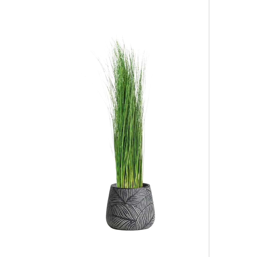 120 CM PLANTS GİNERİUM