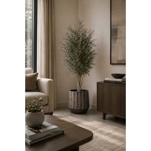 130 CM WIDE PARVIFOLIA