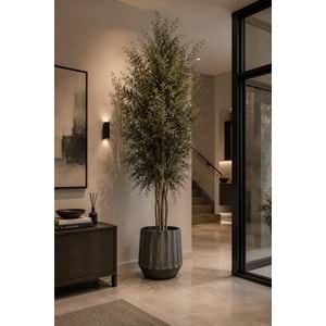 180 CM WIDE PARVIFOLIA