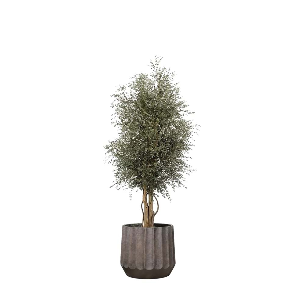 180 CM WIDE PARVIFOLIA